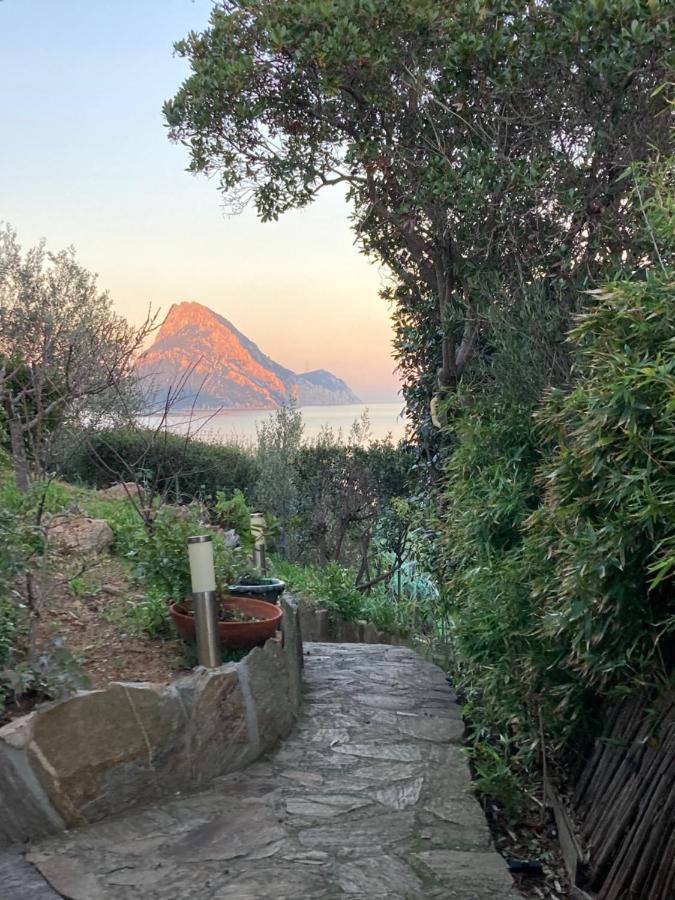 Molarotto Villa Porto Taverna Bagian luar foto
